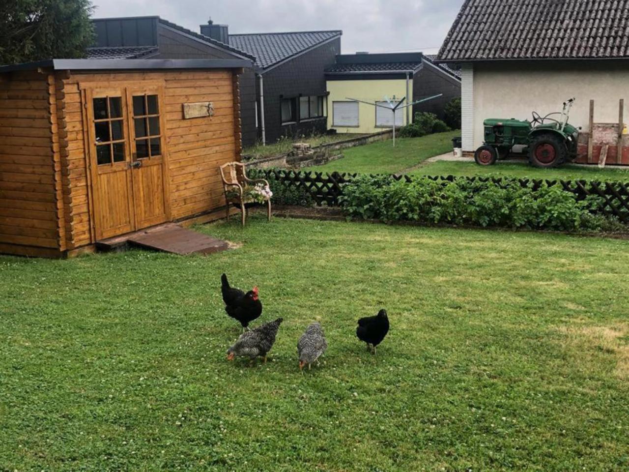 Yn E Homeie Baar  Dış mekan fotoğraf